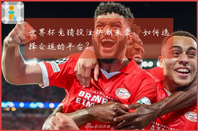 世界杯竞猜投注热潮来袭，如何选择合适的平台？