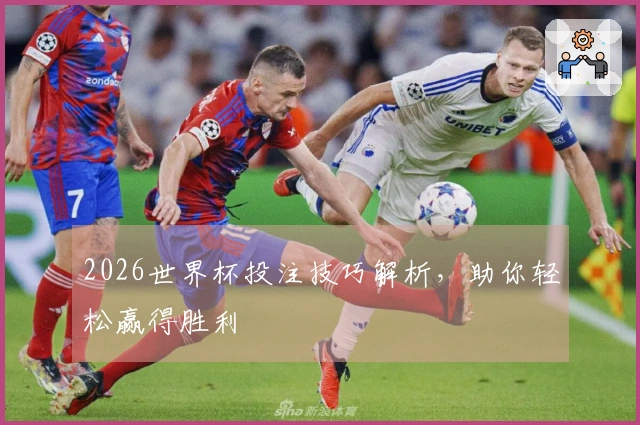 2026世界杯投注技巧解析，助你轻松赢得胜利