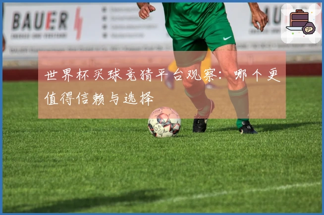 世界杯买球竞猜平台观察：哪个更值得信赖与选择