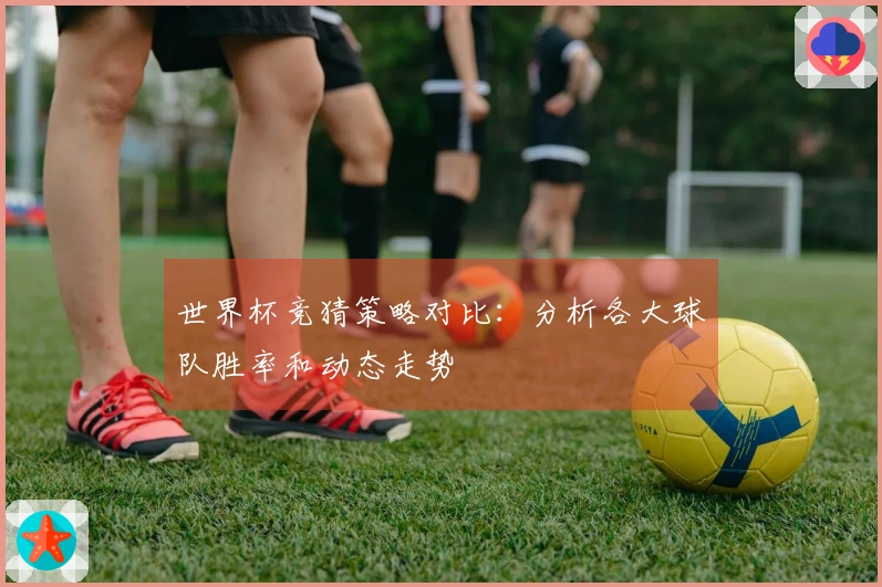世界杯竞猜策略对比：分析各大球队胜率和动态走势