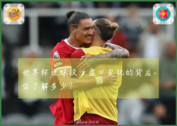 世界杯让球投注盘口变化的背后，你了解多少？