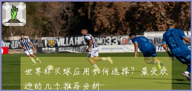 世界杯买球应用如何选择？最受欢迎的几个推荐分析