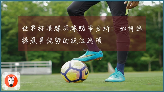 世界杯滚球买球赔率分析：如何选择最具优势的投注选项